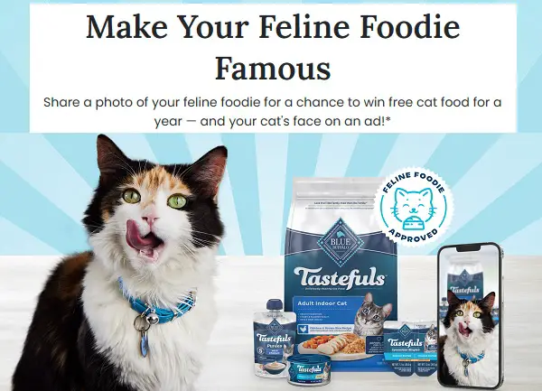 General Mills Make Your Feline Foodie Famous Contest (winbluetastefuls.com)